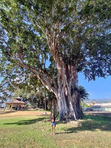 Waialua Bandstand Park - Thumbnail