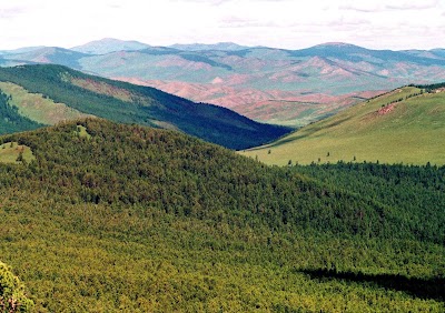 Photos of Idre Tour & Hostel in Mongolia