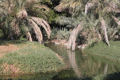 Photos of المزرعة المحروسة الشايجي