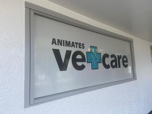 Animates Vetcare Clinic Miramar - Thumbnail