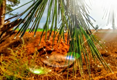 Photos of مسجد النور
