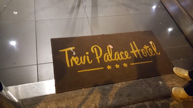 Hotel Trevi Palace