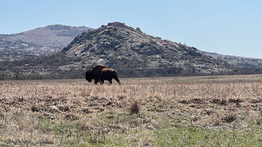 Mount Scott - Visual