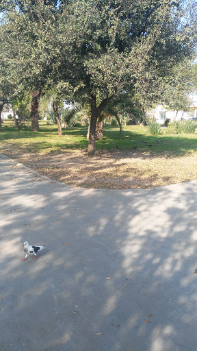 16 Lineas Park - Thumbnail