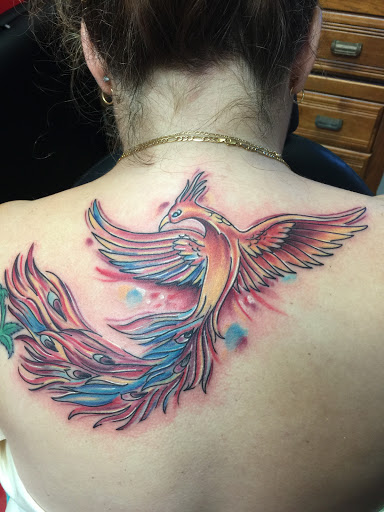 N8V INK - Visual