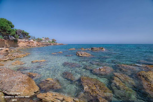 Malacala - Thumbnail
