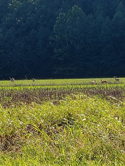 Horseshoe Lake State Conservation Area