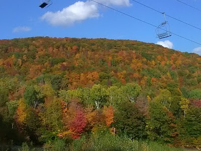 Black Mountain of Maine