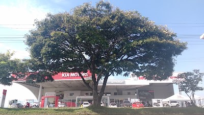 Photos of KIA-Honda