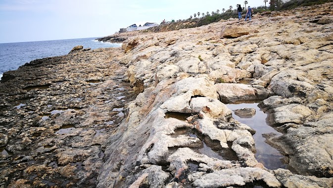 Malta National Aquarium, Author: Pepe Dratewka