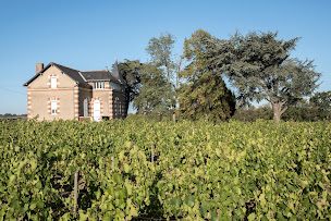 Photo n°1 de Domaine des Hardières à Val-du-Layon (Vignoble)