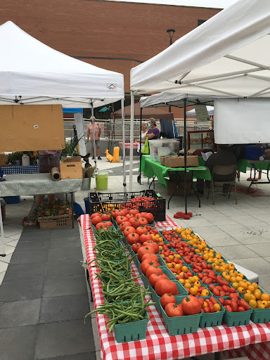 Peterborough Square - Visual