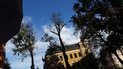 Photos of Schnitzelparadies Zwickau