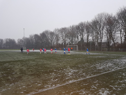 Schalkshof - Visual