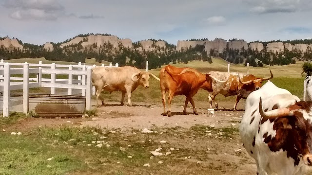 Fort Robinson State Park