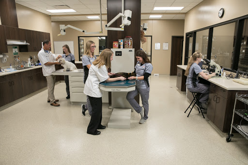 Petersen Pet Hospital Gallery - United States