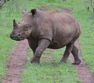 Photos of Rhino River Lodge