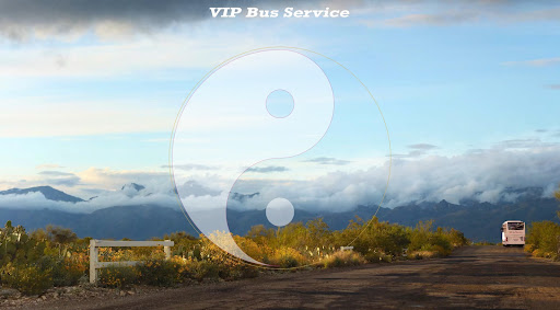 VIP Bus Service Omnibusbetrieb GmbH | VIP Berlin - Thumbnail