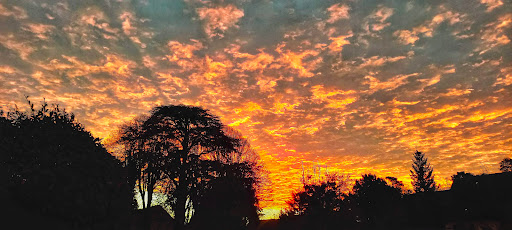 Photo de Adapei 92 à Mézières-en-Drouais (28500)