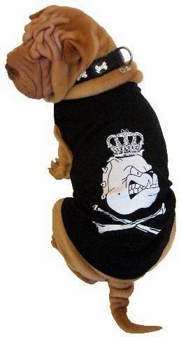 Schoener Hund