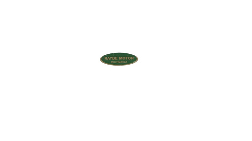 Bosch Car Service Raybe Motor Multimarca - Thumbnail
