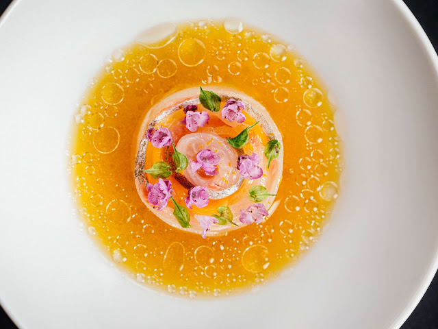 ADDISON BY WILLIAM BRADLEY by null