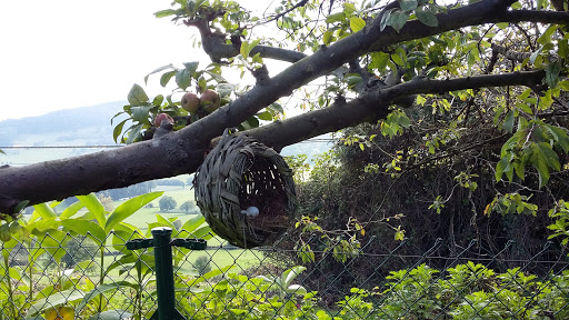 Asfaltos Quintanosa 2000 S.L. - Thumbnail