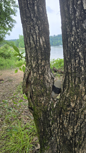 Lake Greeson, Daisy State Park Gallery - United States