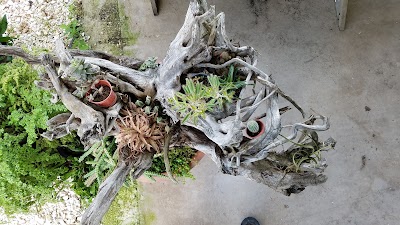 Photos of Steward & Samantha's Greenhouse