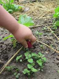Photo n°1 de Association Collectif Petite Enfance à Manosque (Association ou organisation)