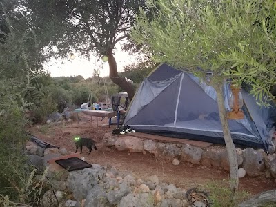 Kekova Camping