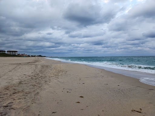 Ocean Front Beach Park Gallery - United States