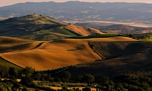 Fonte Verde - Visual