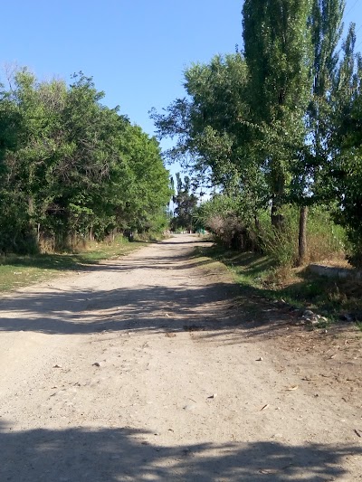 Photos of Zharkynbayevo