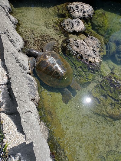 Florida Oceanographic Coastal Center