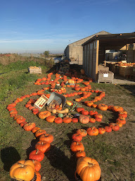 Photo n°17 de Cueillette de Hoymille . Cueillette Chapeau De Paille à Hoymille (Magasin)