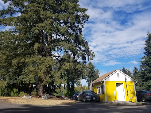 Coffee Bear Company by null