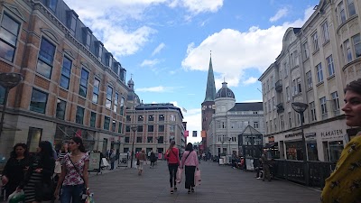 Photos of S&oslash;strene Grene