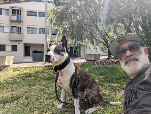Land Shark K-9 Australia - Thumbnail