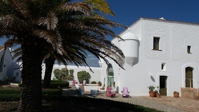 Photos of Hotel Torre Fiore
