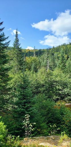 Rivière-Blanche 5 - Thumbnail