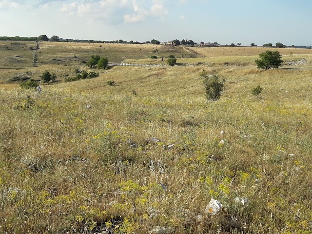 Parc national Alta Murgia