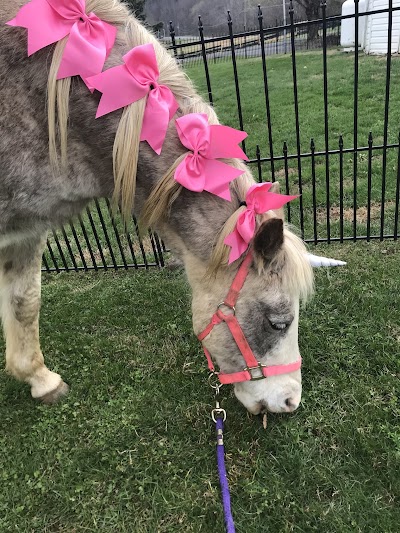 Apple Valley Pony Parties, LLC