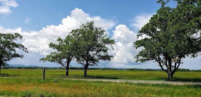 Wildlife Viewing Area