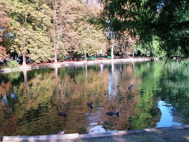 Jardin Massey