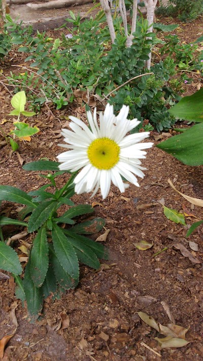 Photos of Vivero Tropical