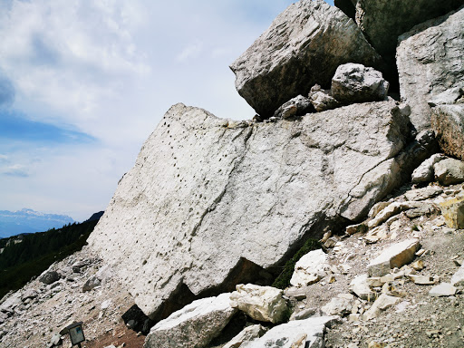 Orme di Dinosauro al Pelmo - Thumbnail