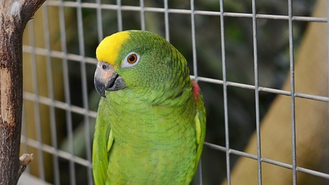Reviews of Barrow Bird & Pet Centre in Barrow-in-Furness - Shop