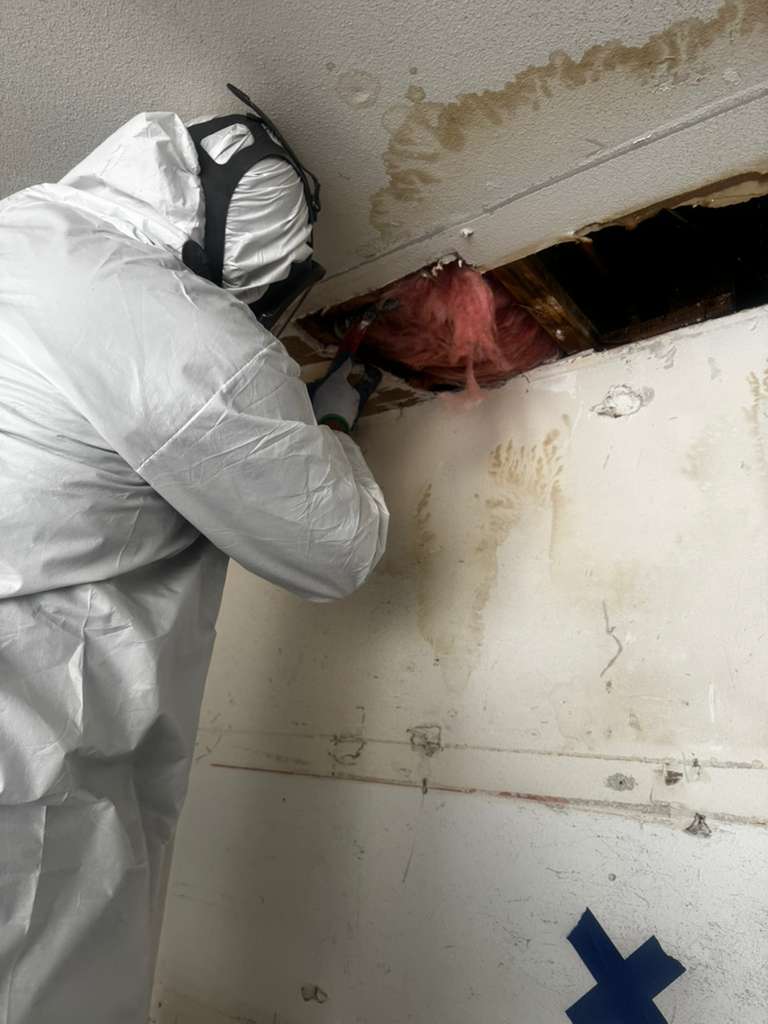 360 Water Damage Restoration Inc. photo