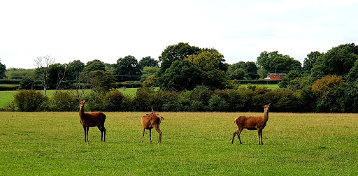 Knepp Park - Thumbnail